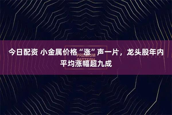 今日配资 小金属价格“涨”声一片，龙头股年内平均涨幅超九成