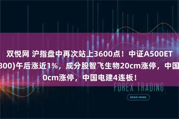 双悦网 沪指盘中再次站上3600点!中证A500ETF龙头(563800)午后涨近1%,成分股智飞生物20cm涨停,中国电建4连板!